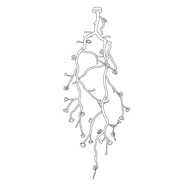 Large Long Branch Flower Chandelier - Yovalighting