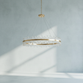 Riviko Cosmic Ring LED Chandelier - Background Shot